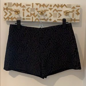 Zara Black Shorts
